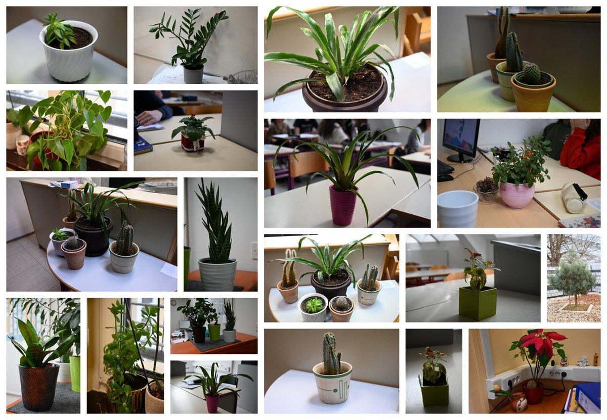 Lončnice za zeleno pismenost1