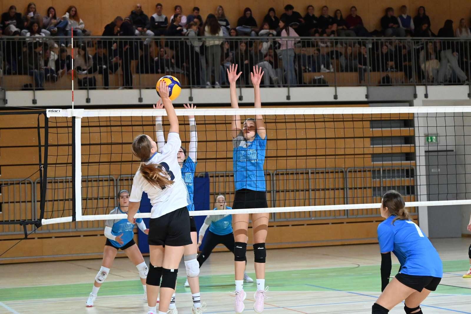 Področno prvenstvo v odbojki za dijakinje