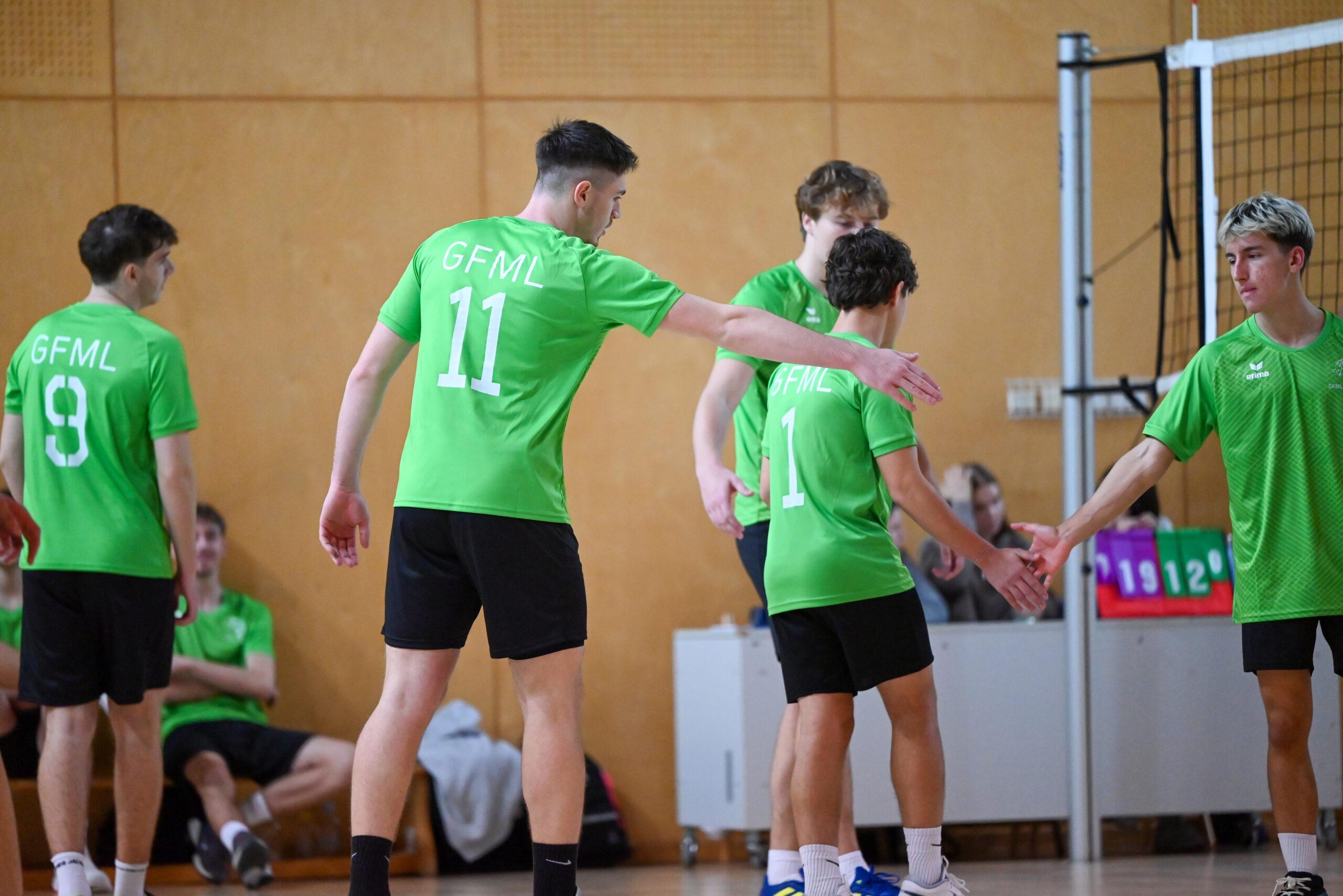 Področno tekmovanje v odbojki za dijake